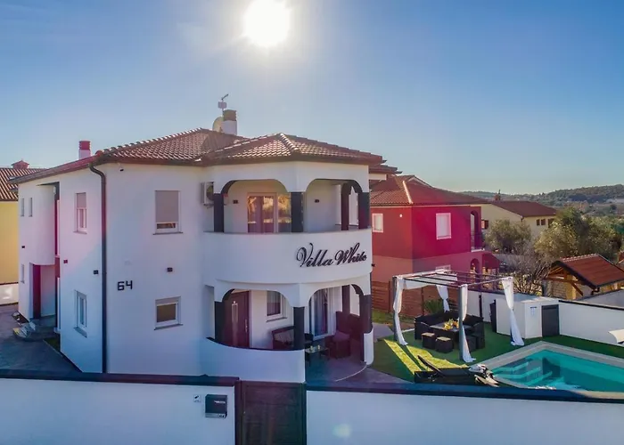 Complex White 普拉